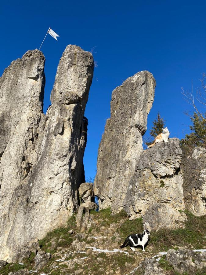 דירות Hiltpoltstein Gasthof Zur Sagemuhle מראה חיצוני תמונה