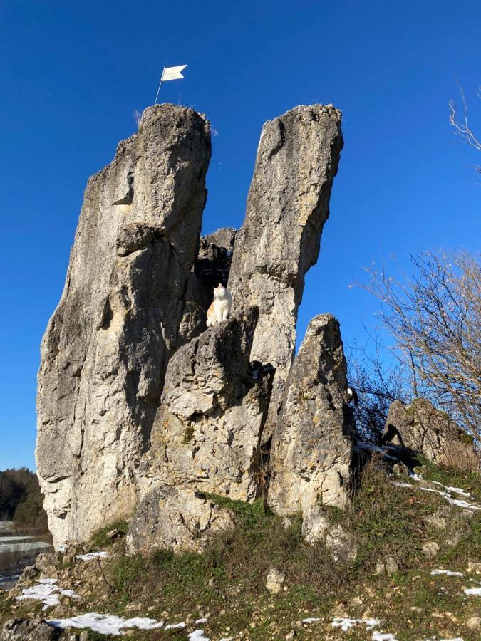 Hiltpoltstein Gasthof Zur Saegemuehle מראה חיצוני תמונה